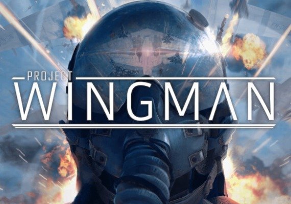 Project Wingman (PC)