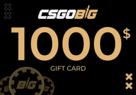 CSGOBIG Gift Card 1000 USD
