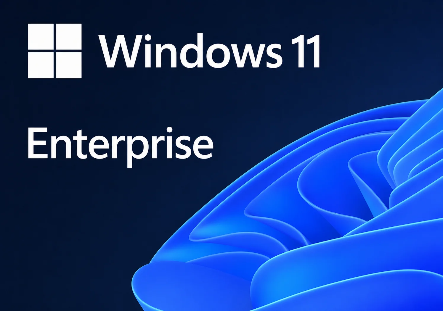 Windows 11 Enterprise (PC)