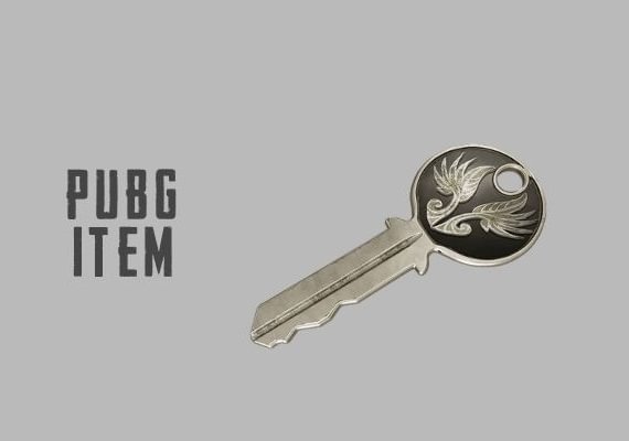 PUBG PlayerUnknown's Battlegrounds: Early Bird Key (DLC) (PC)