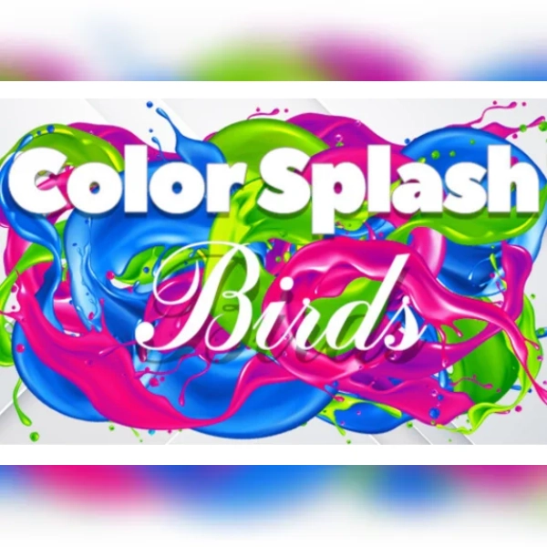 Color Splash: Birds (PC) Steam Key - GLOBAL