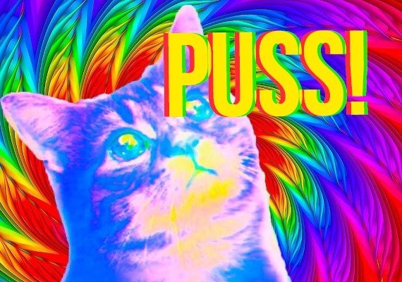 PUSS! (PC)