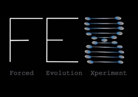 F.E.X (Forced Evolution Experiment) (PC)
