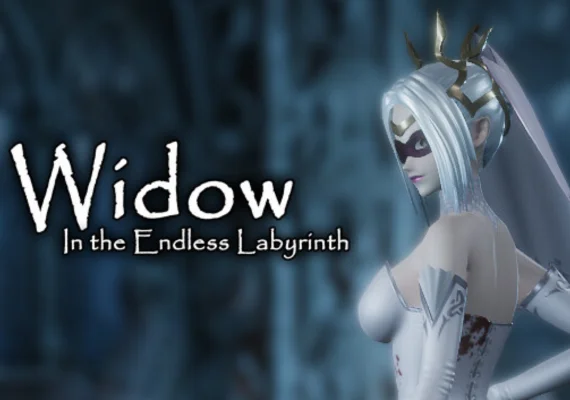 Widow in the Endless Labyrinth (PC) Steam Gift - EU