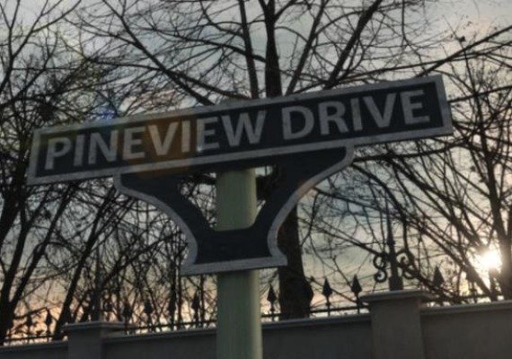 Pineview Drive (PC)
