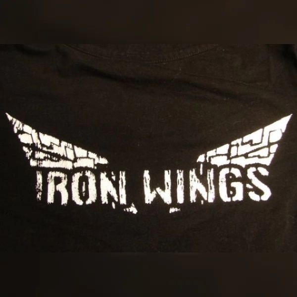 Iron Wings (PC) Steam Key - GLOBAL