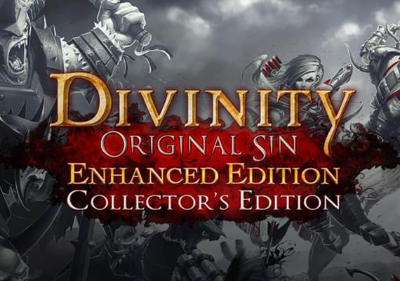 Divinity: Original Sin - Enhanced Edition Collector's Edition (PC)