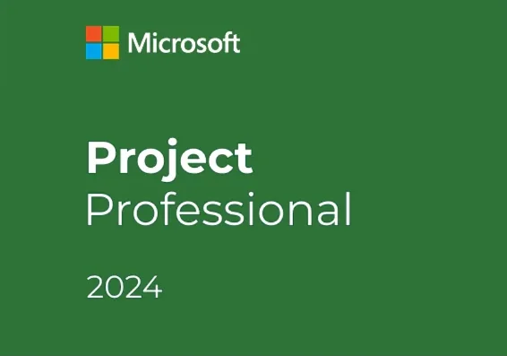 Microsoft Project Professional 2024