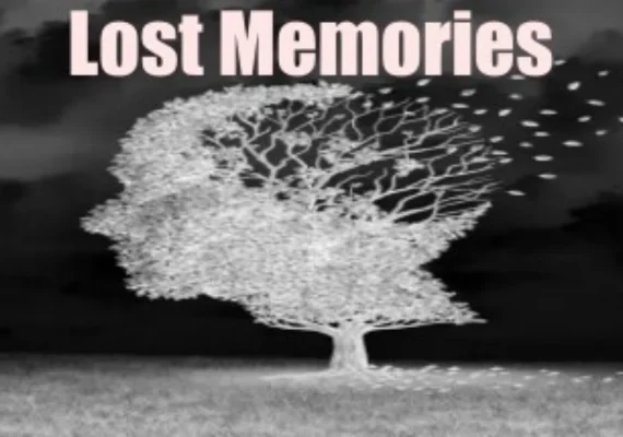Lost Memories (PC)