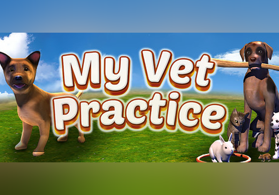 My Vet Practice (PC)