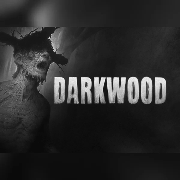 Darkwood (PC) GOG.com Key - GLOBAL Gameseal