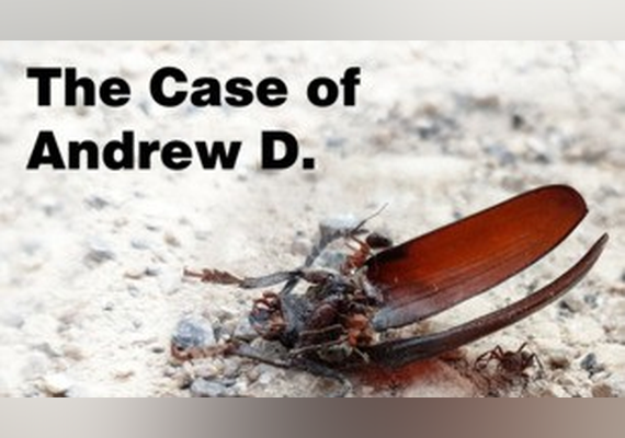 The Case of Andrew D. (PC) Steam Gift - GLOBAL 