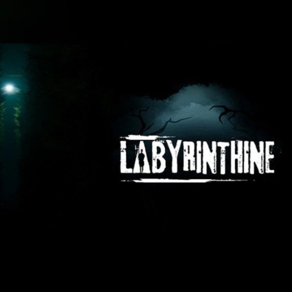 Dark Labyrinthine (Pc) Steam Account - Global