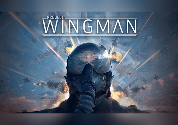 Project Wingman (PC)
