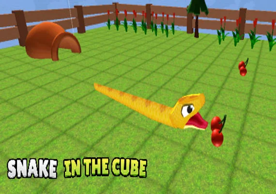 Snake In The Cube (PC) 