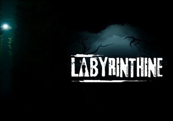 Labyrinthine (PC)