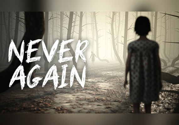Never Again (PC)