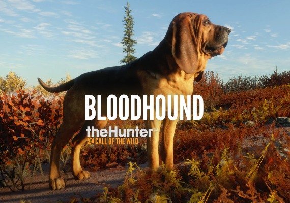theHunter: Call of the Wild - Bloodhound (DLC) (Xbox One / Xbox Series X|S) theHunter: Call of the Wild - Bloodhound (DLC) (Xbox One / Xbox Series X|S)