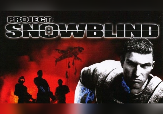 Project: Snowblind (PC)