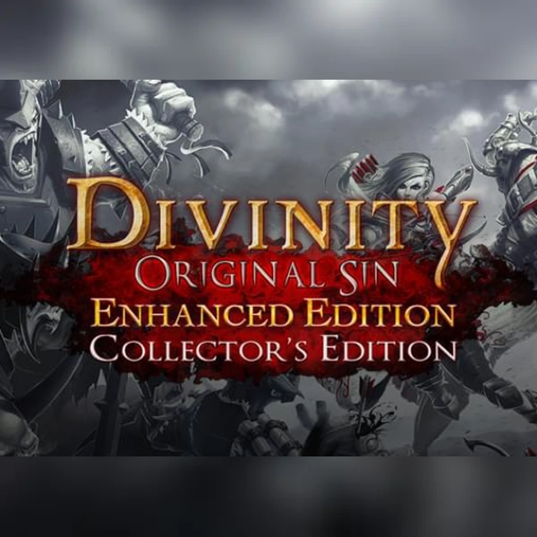 Divinity: Original Sin - Enhanced Edition Collector's Edition (PC) GOG.com Key - GLOBAL