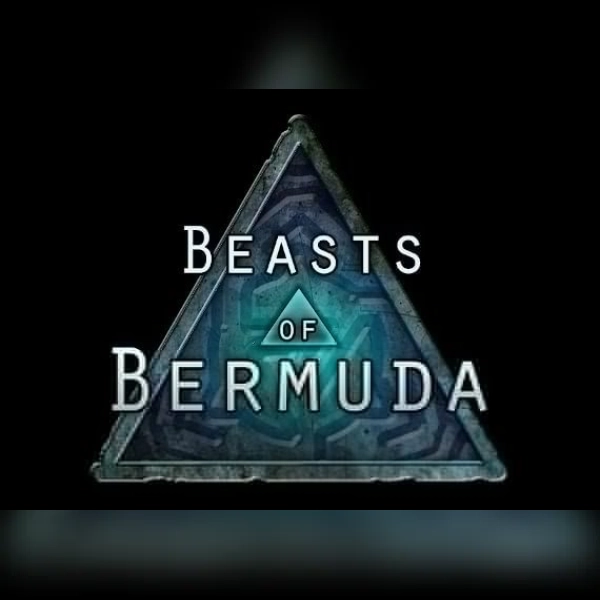 Beasts of Bermuda (PC) Steam Gift - EU