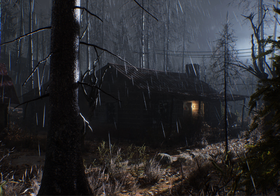 Team up with three other survivors to explore, loot, manage fear, and collect key items to close the portal between worlds. Team up with three other survivors to explore, loot, manage fear, and collect key items to close the portal between worlds.