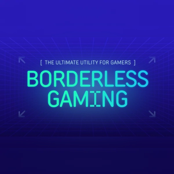 Borderless Gaming (PC) Steam Gift - GLOBAL