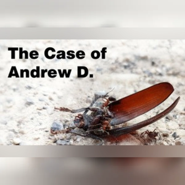 The Case of Andrew D. (PC) Steam Gift - GLOBAL
