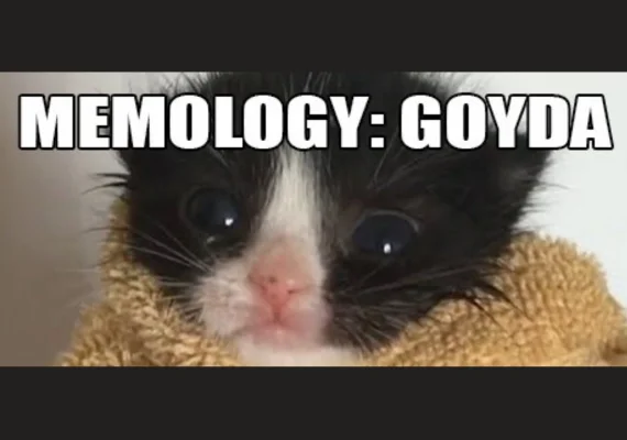 MEMOLOGY: GOYDA (PC)