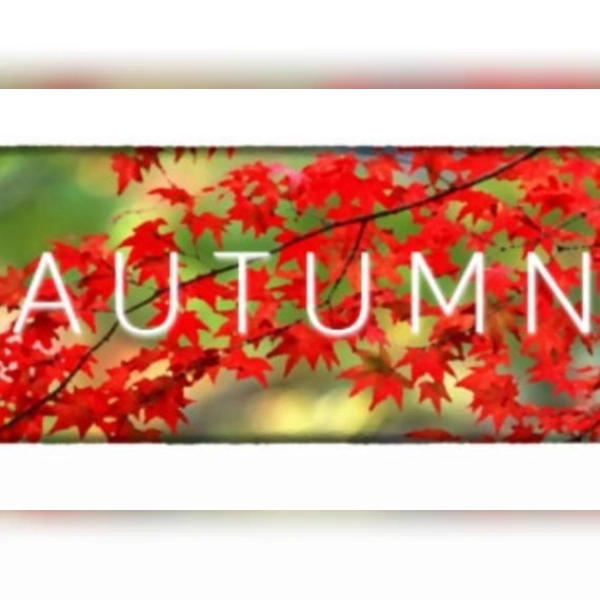 Autumn (PC) Steam Key - GLOBAL