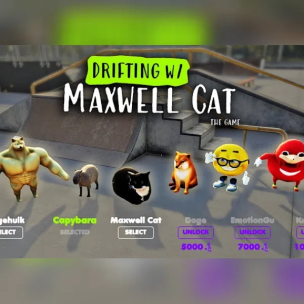 Drifting with Maxwell Cat: The Game