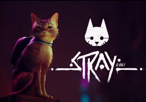 Stray (PC)
