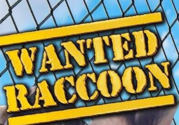 Wanted Raccoon (PC) Steam Gift- GLOBAL (PC)