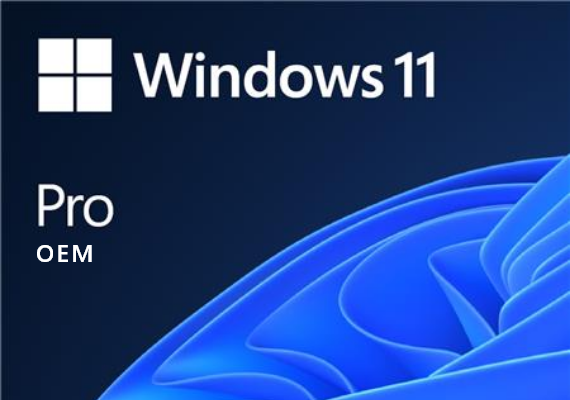 Microsoft Windows 11 Professional OEM Microsoft Windows 11 Professional OEM