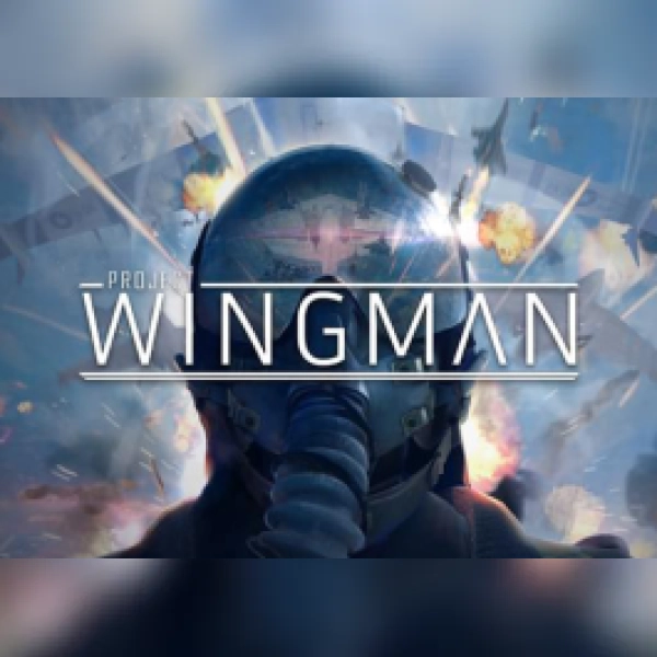 Project Wingman (PC) Steam Gift - EU