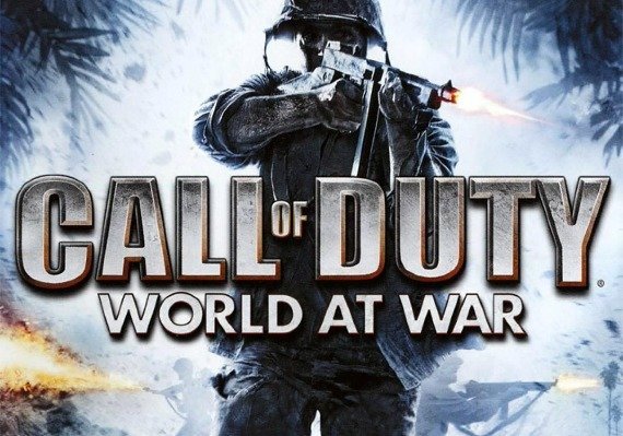 Call of Duty: World at War (PC)