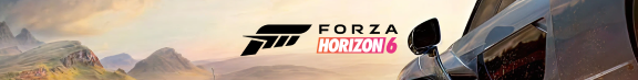 Forza banner top