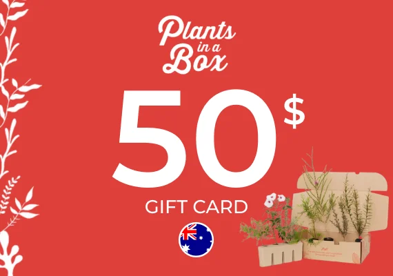 Plants in a Box Gift Card 50  AUD