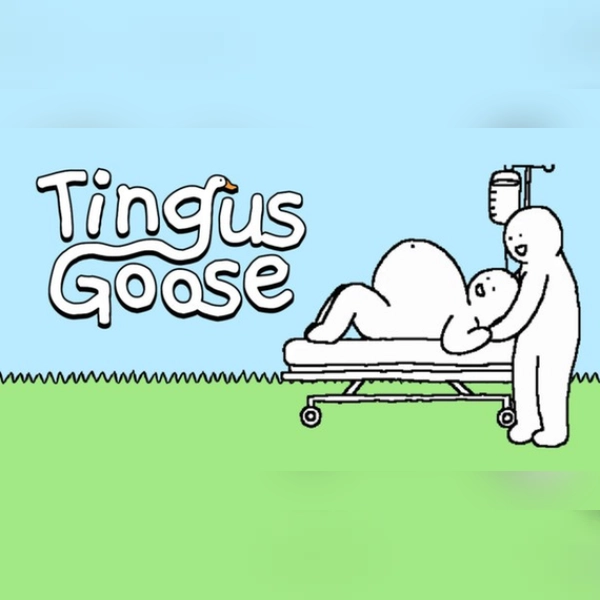 Tingus Goose (PC) Steam Gift - GLOBAL