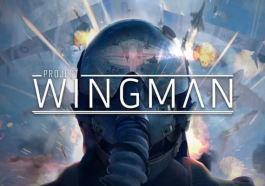 Project Wingman (PC) Project Wingman (PC)