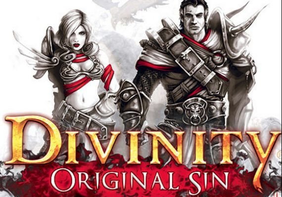 Divinity: Original Sin (PC)
