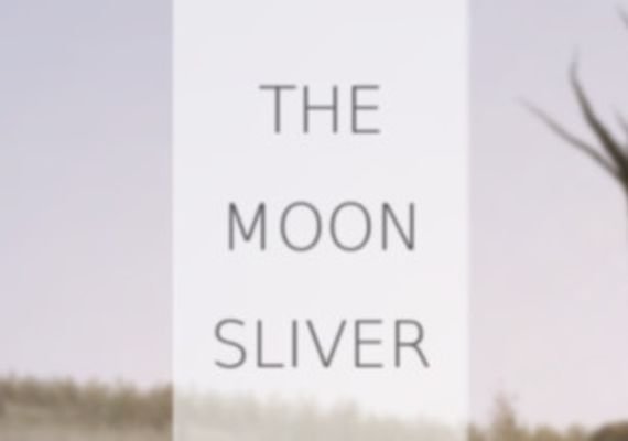 The Moon Sliver (PC)