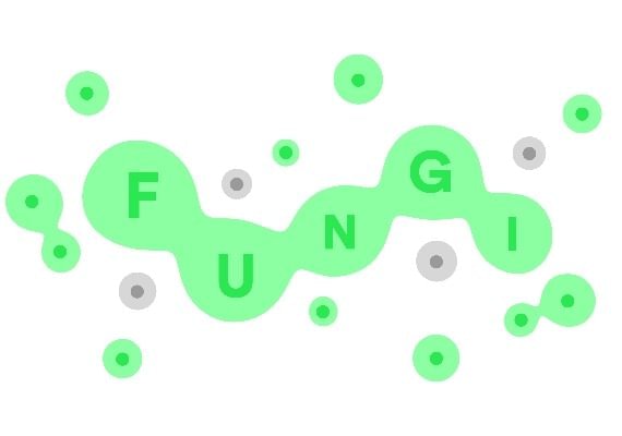 Fungi (PC)