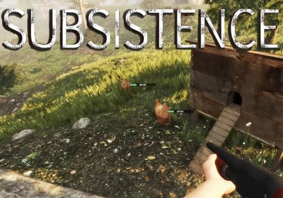 Subsistence (PC)