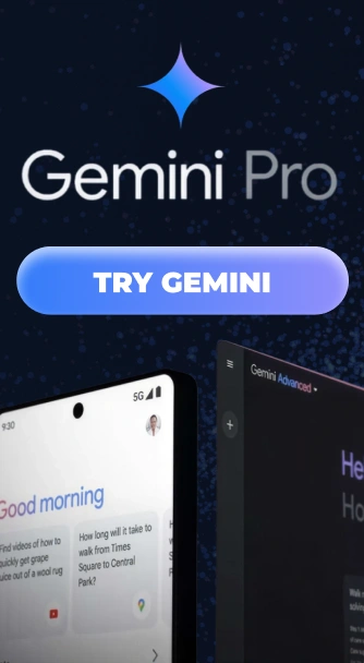 en-side-gemini